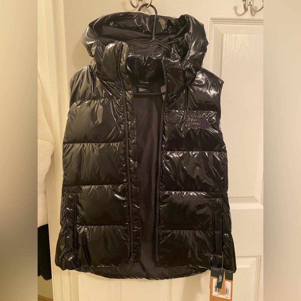 The north face vest